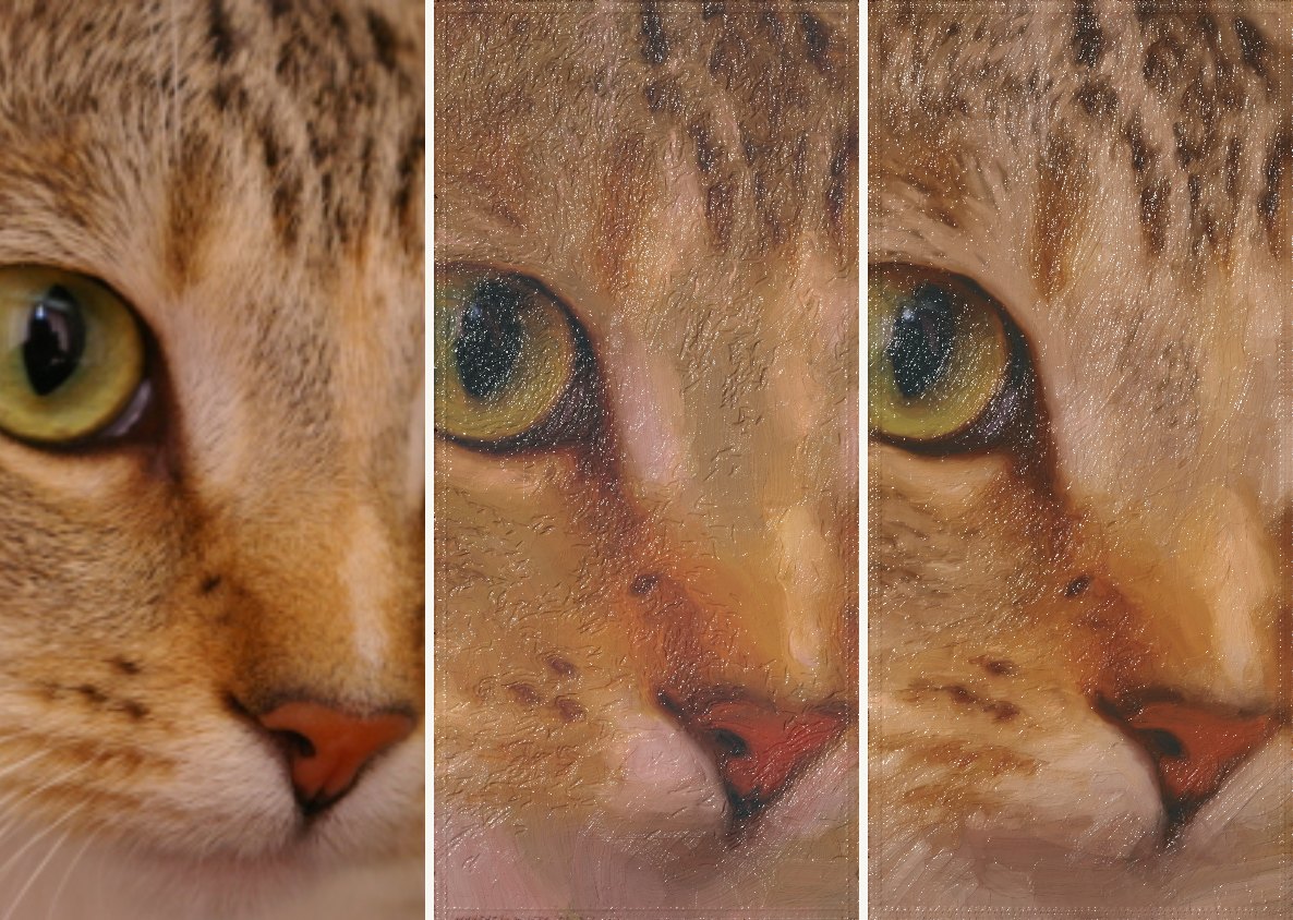 Cat: photo, before, after