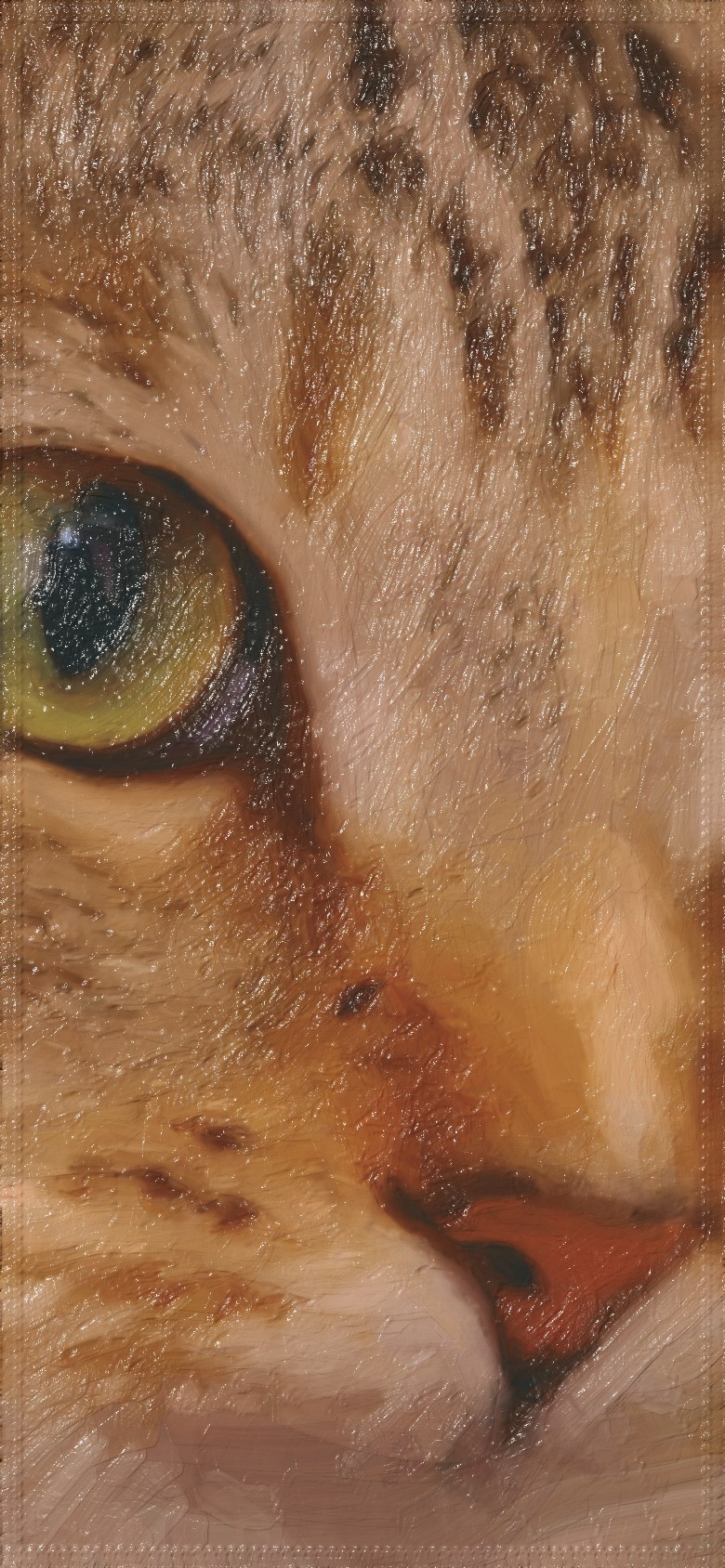 Cat, run 20